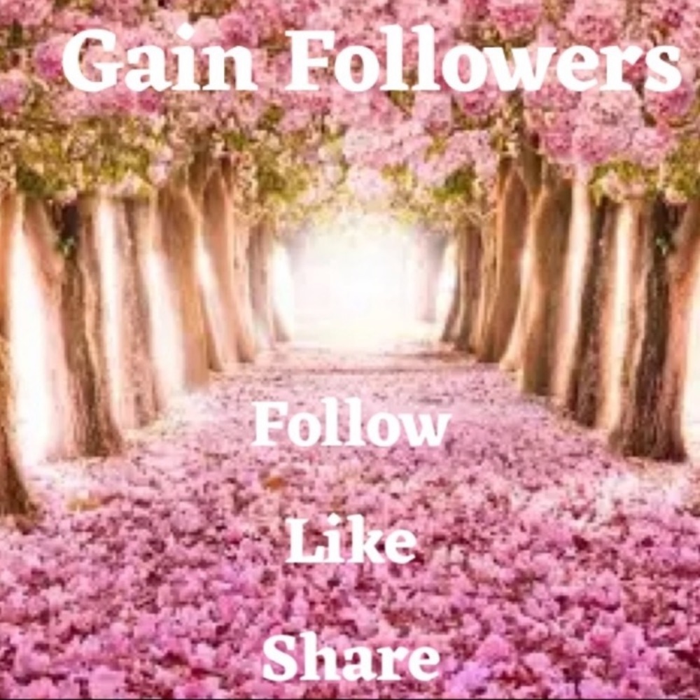 Follow Angel🙏💕 Gain Followers Grow Your Business Lovely Blessings Follow Angel - Picture 8 of 12